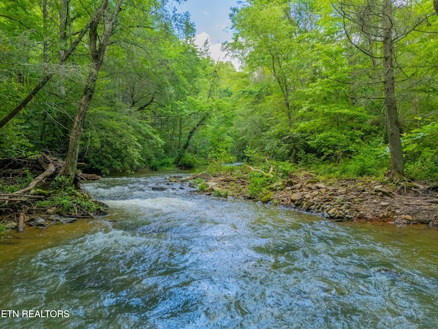 118 Authorn Sheldon Rd, Harriman, TN 37748 - photo 49