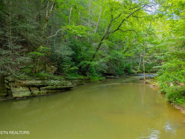 118 Authorn Sheldon Rd, Harriman, TN 37748 - photo 51