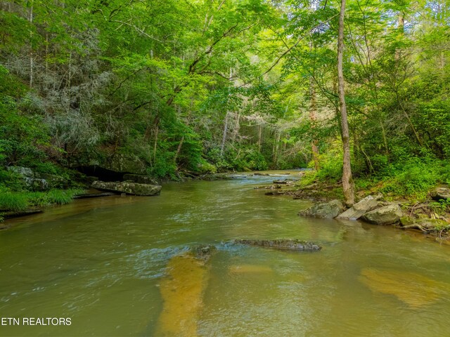 118 Authorn Sheldon Rd, Harriman, TN 37748 - photo 52