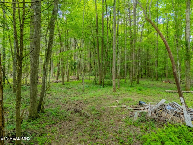 118 Authorn Sheldon Rd, Harriman, TN 37748 - photo 29