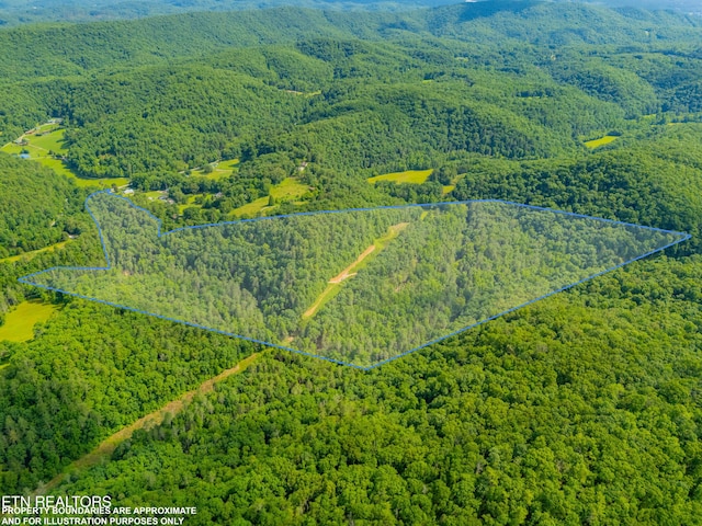 118 Authorn Sheldon Rd, Harriman, TN 37748 - photo 1