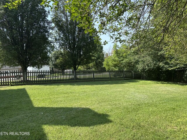 904 Whitesburg Dr, Knoxville, TN 37918 - photo 33