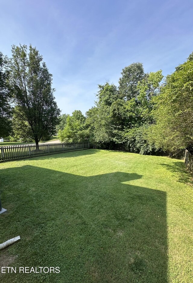 904 Whitesburg Dr, Knoxville, TN 37918 - photo 37
