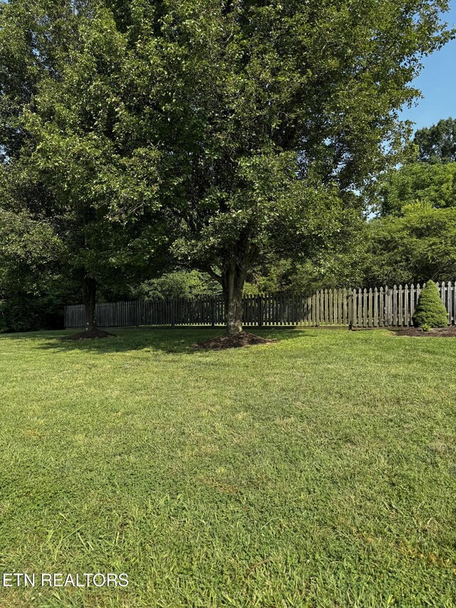 904 Whitesburg Dr, Knoxville, TN 37918 - photo 44