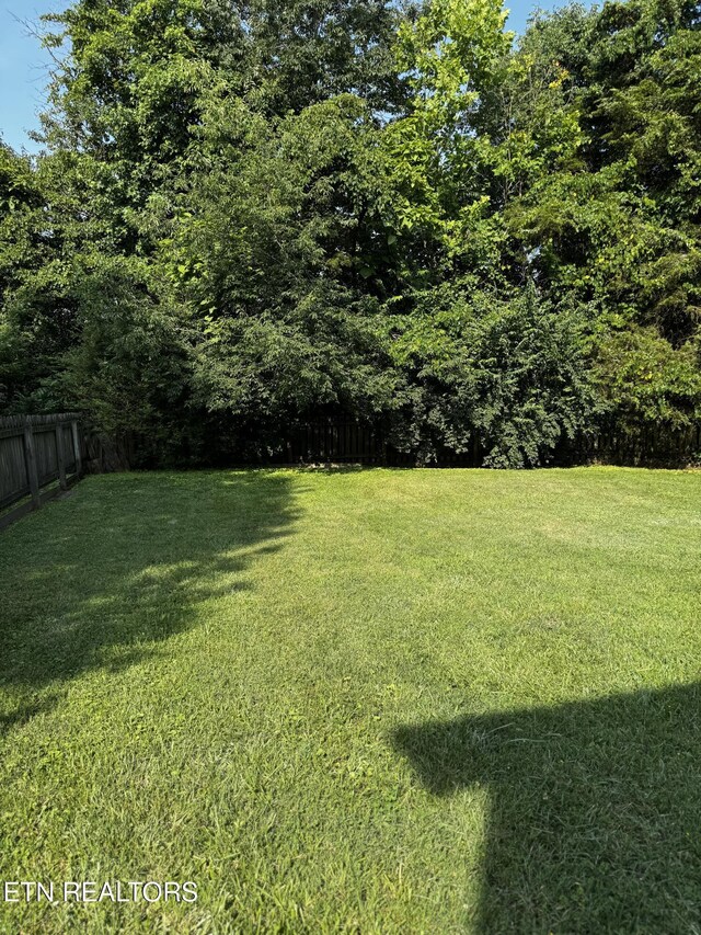 904 Whitesburg Dr, Knoxville, TN 37918 - photo 45