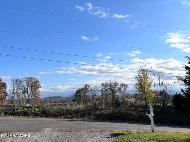 1410 Pine Ridge Rd, Seymour, TN 37865 - photo 3
