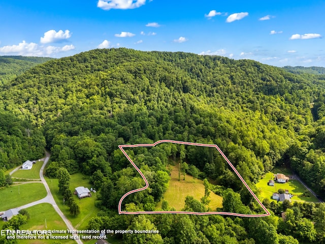 3054 Sherm Mountain Rd, Sneedville, TN 37869