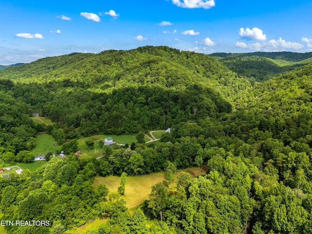 3054 Sherm Mountain Rd, Sneedville, TN 37869