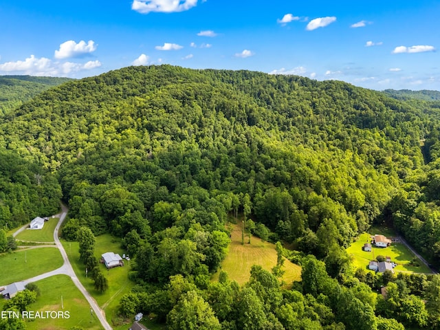 3054 Sherm Mountain Rd, Sneedville, TN 37869