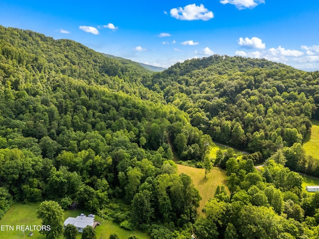 3054 Sherm Mountain Rd, Sneedville, TN 37869