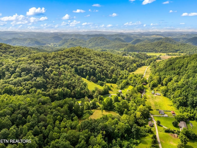 3054 Sherm Mountain Rd, Sneedville, TN 37869