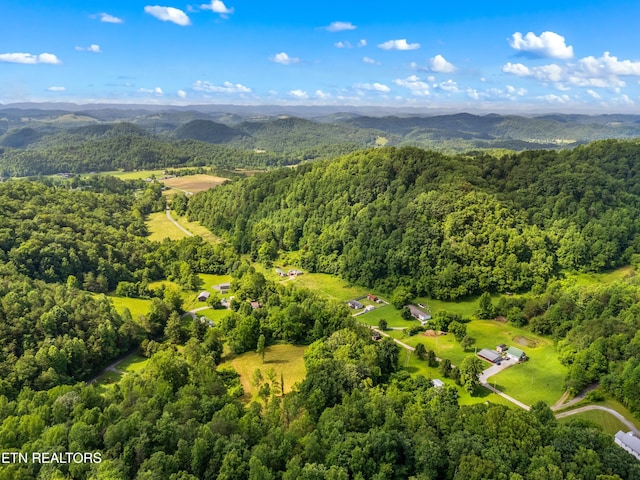 3054 Sherm Mountain Rd, Sneedville, TN 37869