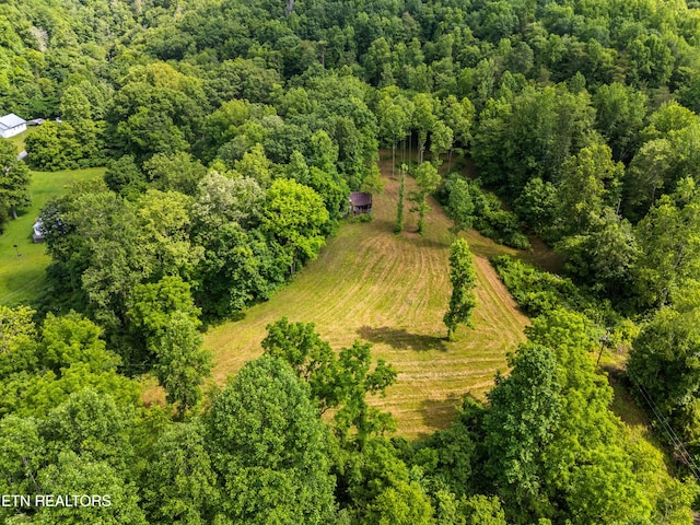 3054 Sherm Mountain Rd, Sneedville, TN 37869