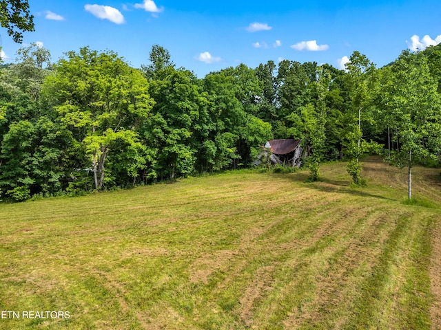 3054 Sherm Mountain Rd, Sneedville, TN 37869