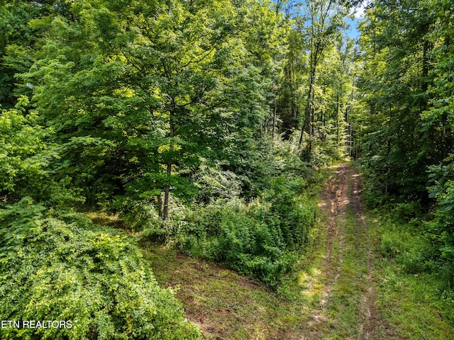 3054 Sherm Mountain Rd, Sneedville, TN 37869