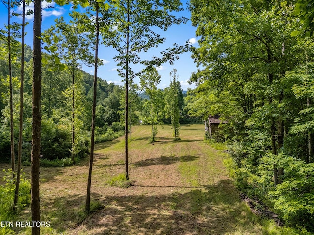 3054 Sherm Mountain Rd, Sneedville, TN 37869