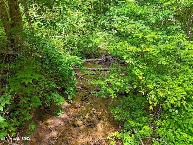 3054 Sherm Mountain Rd, Sneedville, TN 37869