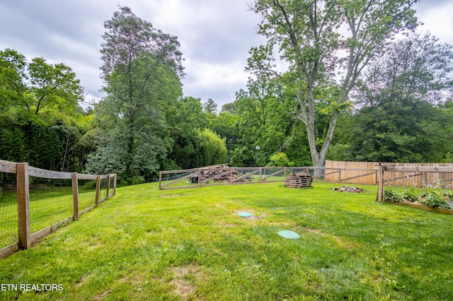 7908 Collier Rd, Powell, TN 37849 - view of yard featuring a garden