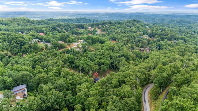 1646 Bear Valley Rd, Sevierville, TN 37876 - drone / aerial view of a forest