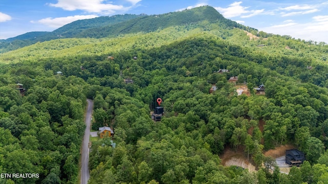 1646 Bear Valley Rd, Sevierville, TN 37876 - bird's eye view of a heavily wooded area and a mountain backdrop