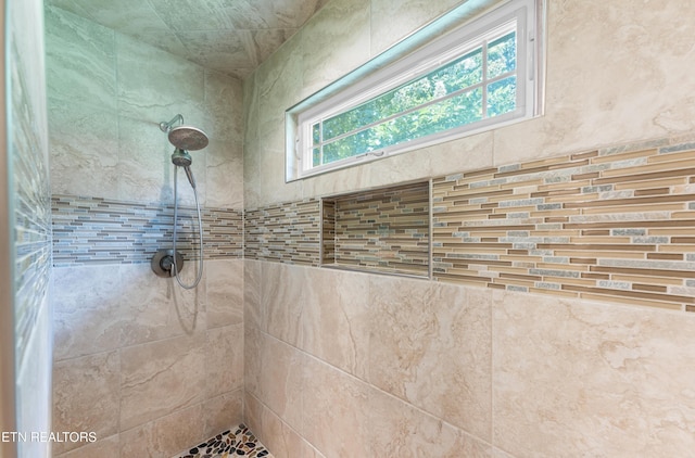 5484 Shadow Branch Ln, Corryton, TN 37721 - bathroom view of tiled shower