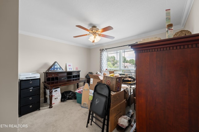 5484 Shadow Branch Ln, Corryton, TN 37721 - office with light colored carpet, ornamental molding, and ceiling fan