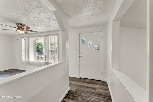 320 Oglewood Ave, Knoxville, TN 37917 - photo 6