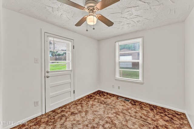 320 Oglewood Ave, Knoxville, TN 37917 - photo 17
