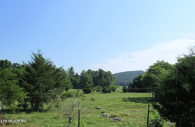 2010 Rocky Valley Rd, New Market, TN 37820 - photo 31