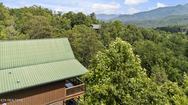 769 Cartertown Rd, Gatlinburg, TN 37738 - photo 56