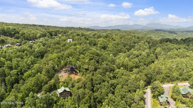 769 Cartertown Rd, Gatlinburg, TN 37738 - photo 57