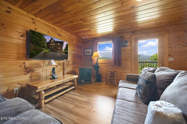 769 Cartertown Rd, Gatlinburg, TN 37738 - photo 33