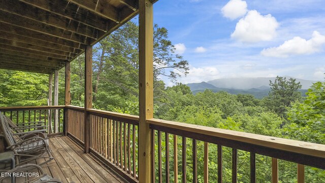 769 Cartertown Rd, Gatlinburg, TN 37738 - photo 48