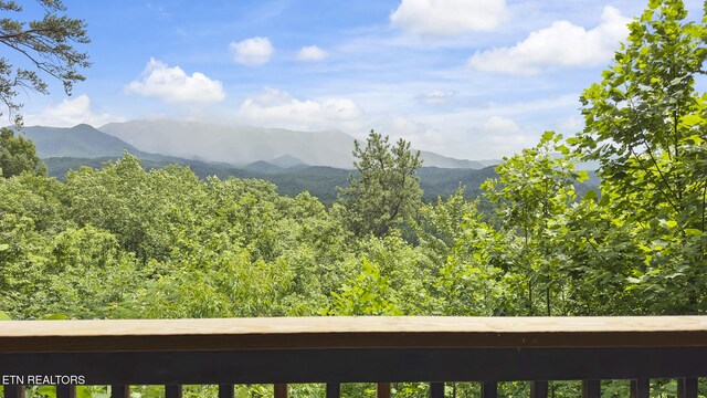 769 Cartertown Rd, Gatlinburg, TN 37738 - photo 49