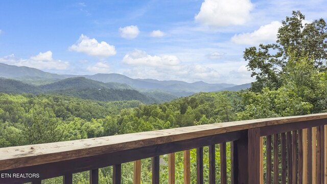 769 Cartertown Rd, Gatlinburg, TN 37738 - photo 52