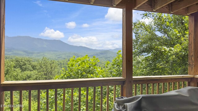 769 Cartertown Rd, Gatlinburg, TN 37738 - photo 55