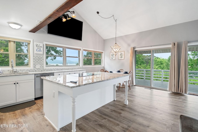 769 Gilmore Rd, Bean Station, TN 37708 - kitchen with dishwasher, beam ceiling, light stone counters, light wood-type flooring, and plenty of natural light