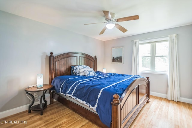 769 Gilmore Rd, Bean Station, TN 37708 - bedroom with light wood-style floors and a ceiling fan