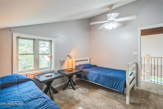 769 Gilmore Rd, Bean Station, TN 37708 - bedroom featuring carpet flooring and vaulted ceiling