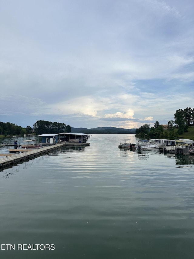 769 Gilmore Rd, Bean Station, TN 37708 - water view with a boat dock