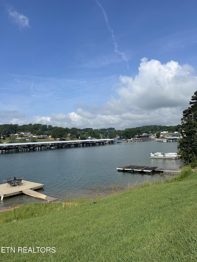 769 Gilmore Rd, Bean Station, TN 37708 - dock with a water view and a yard