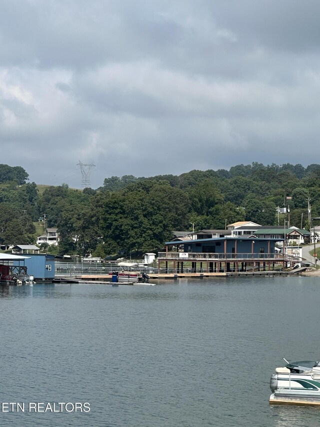769 Gilmore Rd, Bean Station, TN 37708 - water view with a boat dock