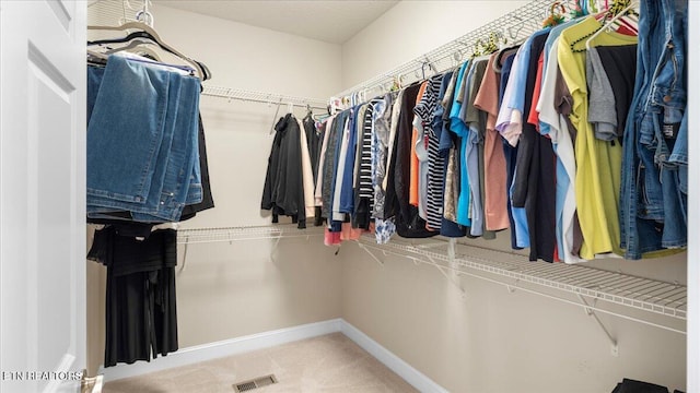 214 Unutsi Trl, Vonore, TN 37885 - view of walk in closet