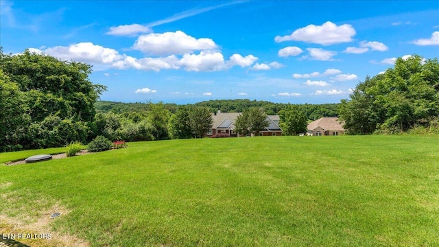 214 Unutsi Trl, Vonore, TN 37885 - view of green lawn featuring a wooded view