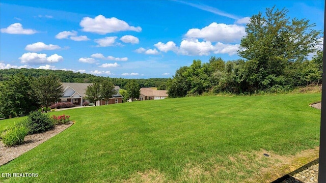 214 Unutsi Trl, Vonore, TN 37885 - view of green lawn