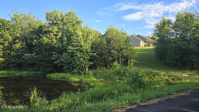 331 Hardin Rd, Dunlap, TN 37327 - view of yard
