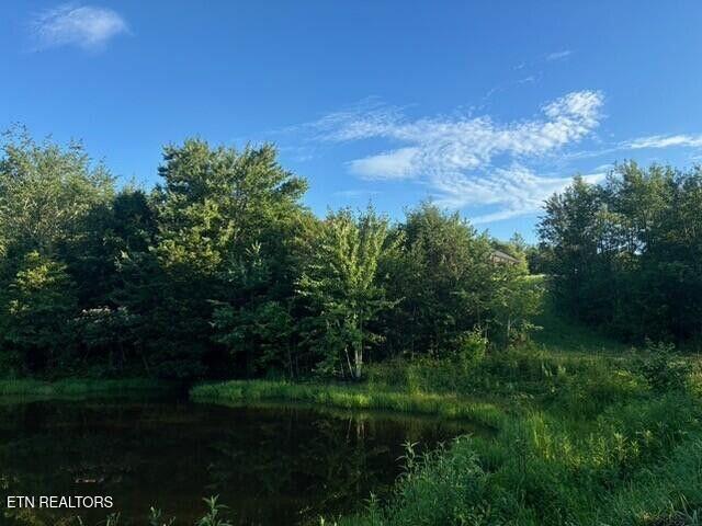 331 Hardin Rd, Dunlap, TN 37327 - view of woods