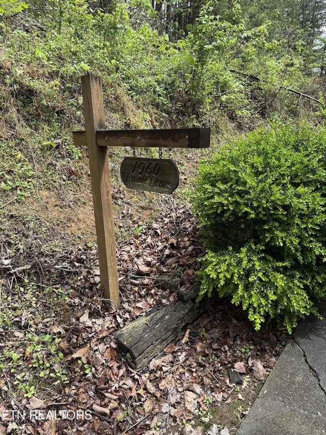 1960 Regans Ridge Way, Sevierville, TN 37876 - exterior view of a water meter