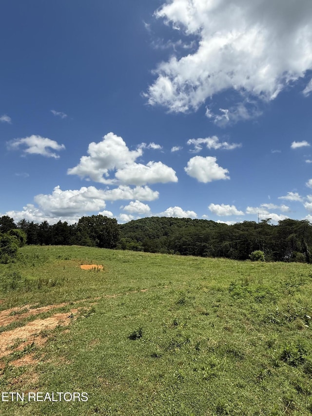 0 Newman Ln, Blaine, TN 37709