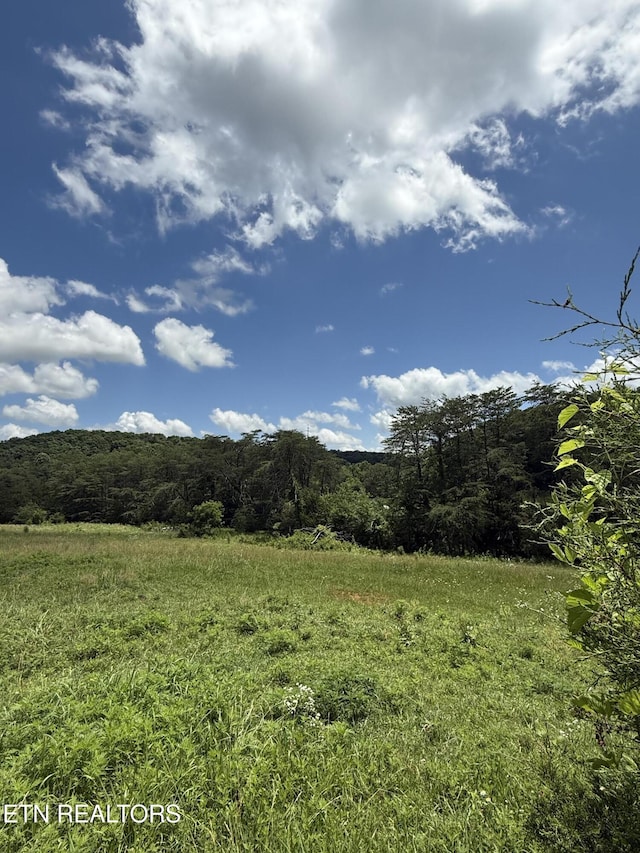 0 Newman Ln, Blaine, TN 37709